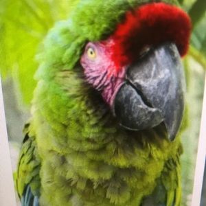 Meet your Posher, Preston